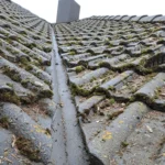 Common Mistakes in Roof Cleaning and How to Avoid Them