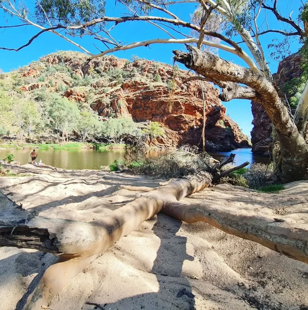 Ellery Creek Big Hole