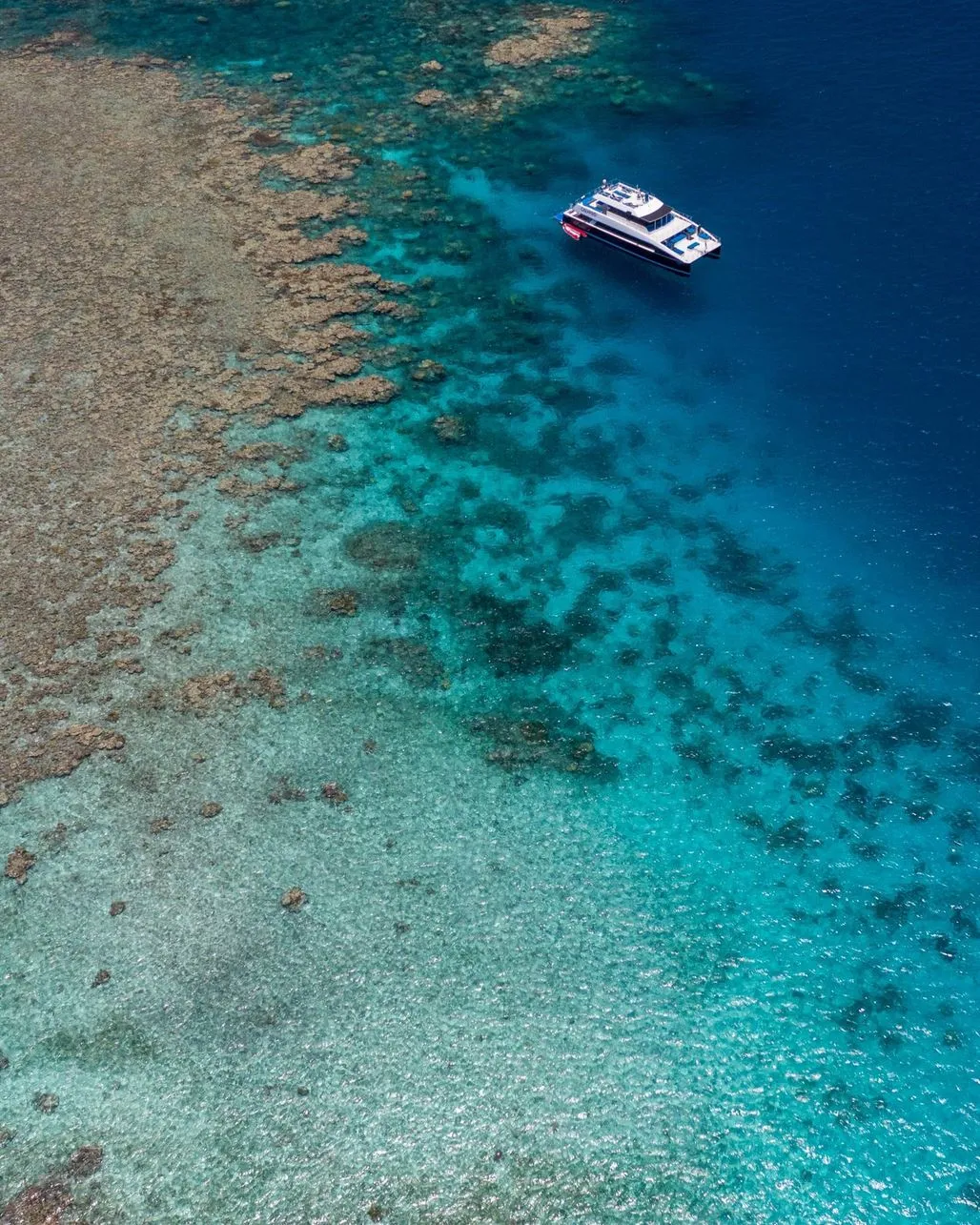Great Barrier Reef or Seychelles