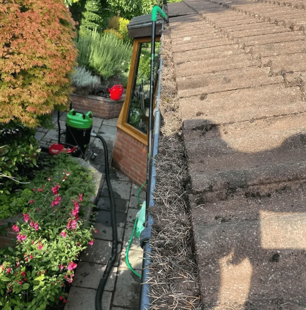Purple Heart Rating Plugin | Common Mistakes in Roof Cleaning and How to Avoid Them Gutter Cleaning and Clean Drainage Systems