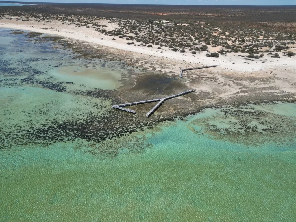 Hamelin Pool