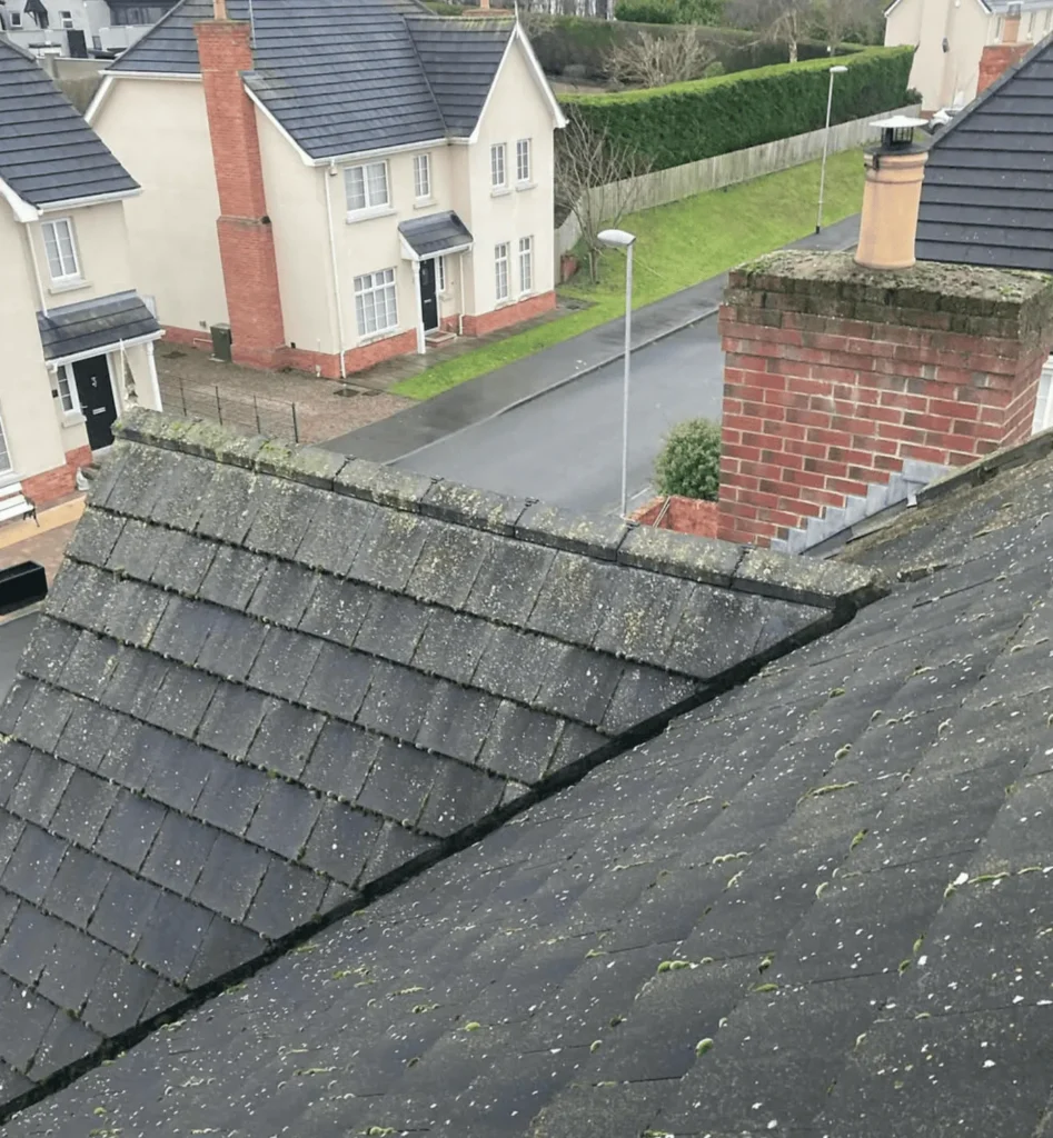 Purple Heart Rating Plugin | Common Mistakes in Roof Cleaning and How to Avoid Them Hiring Inexperienced or Cheap Contractors