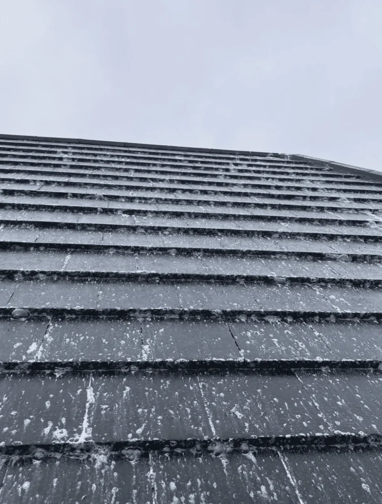 Purple Heart Rating Plugin | Common Mistakes in Roof Cleaning and How to Avoid Them Ignoring Subtle Roof Damage