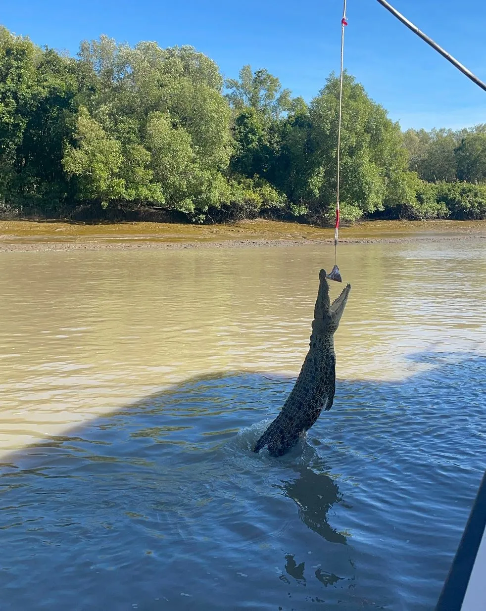 Jumping Crocodile Tour