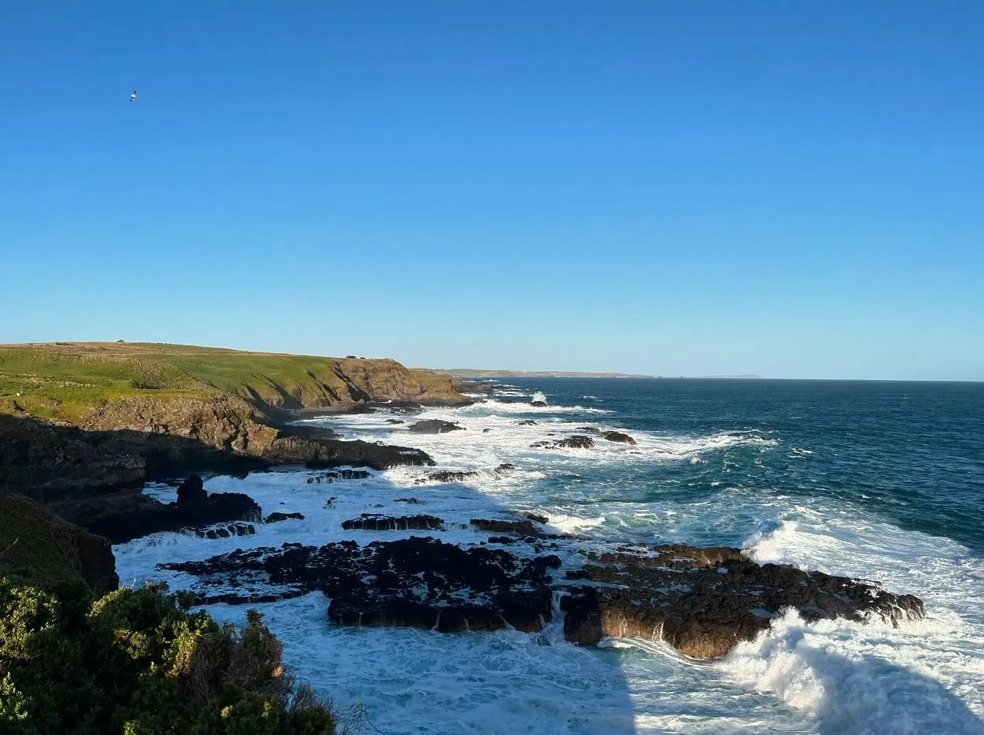 Phillip Island
