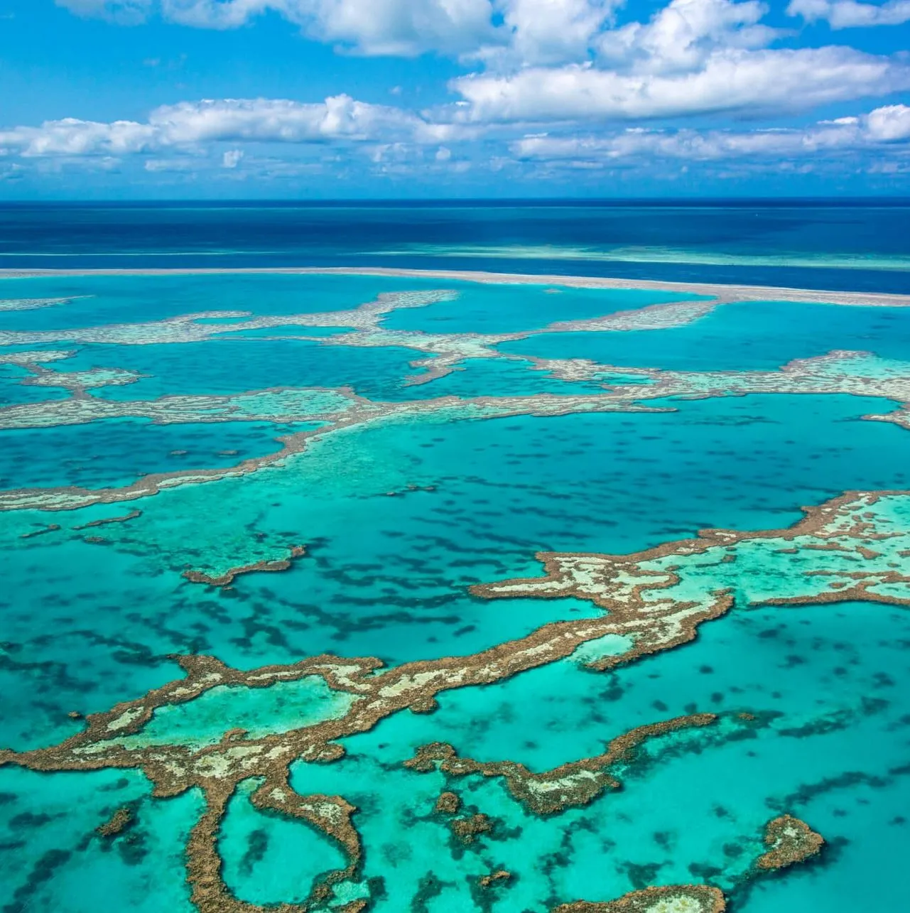 Purple Heart Rating Plugin | Great Barrier Reef or Seychelles — Which Feels Better to Visit? The Reef or the Islands, My Honest Two Cents