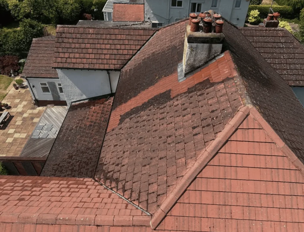Purple Heart Rating Plugin | Common Mistakes in Roof Cleaning and How to Avoid Them Using Harsh Chemicals and Wrong Cleaning Agents