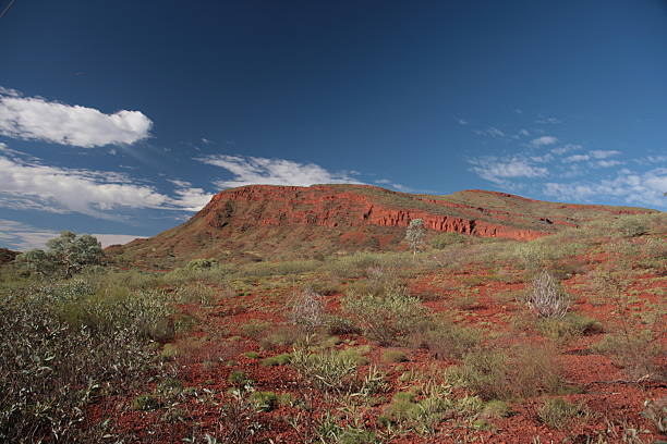 Explore Uluru with Exciting Tours from Alice Springs