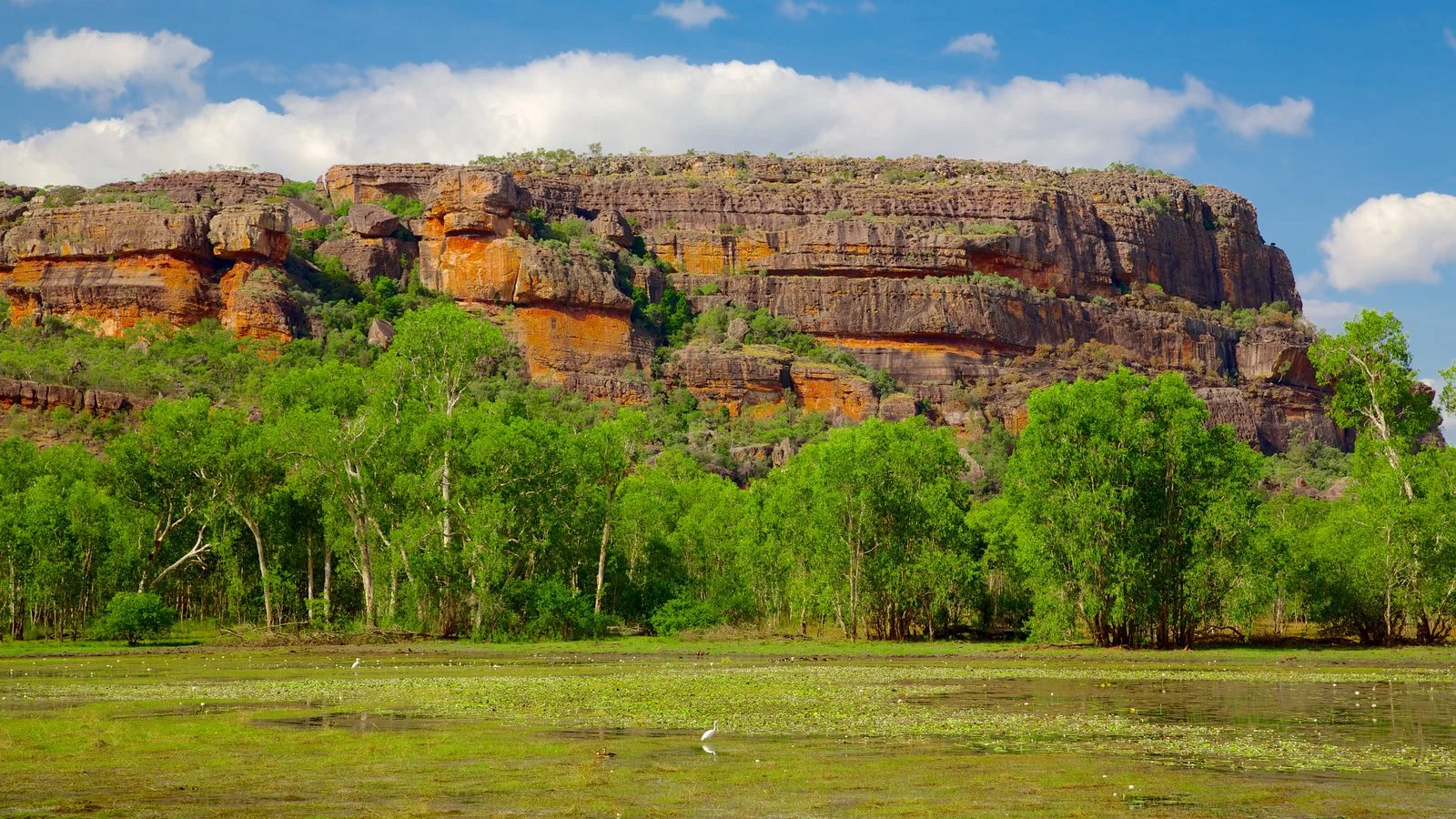 Discover the natural beauty and rich cultural heritage of Kakadu National Park with a day tour from Darwin